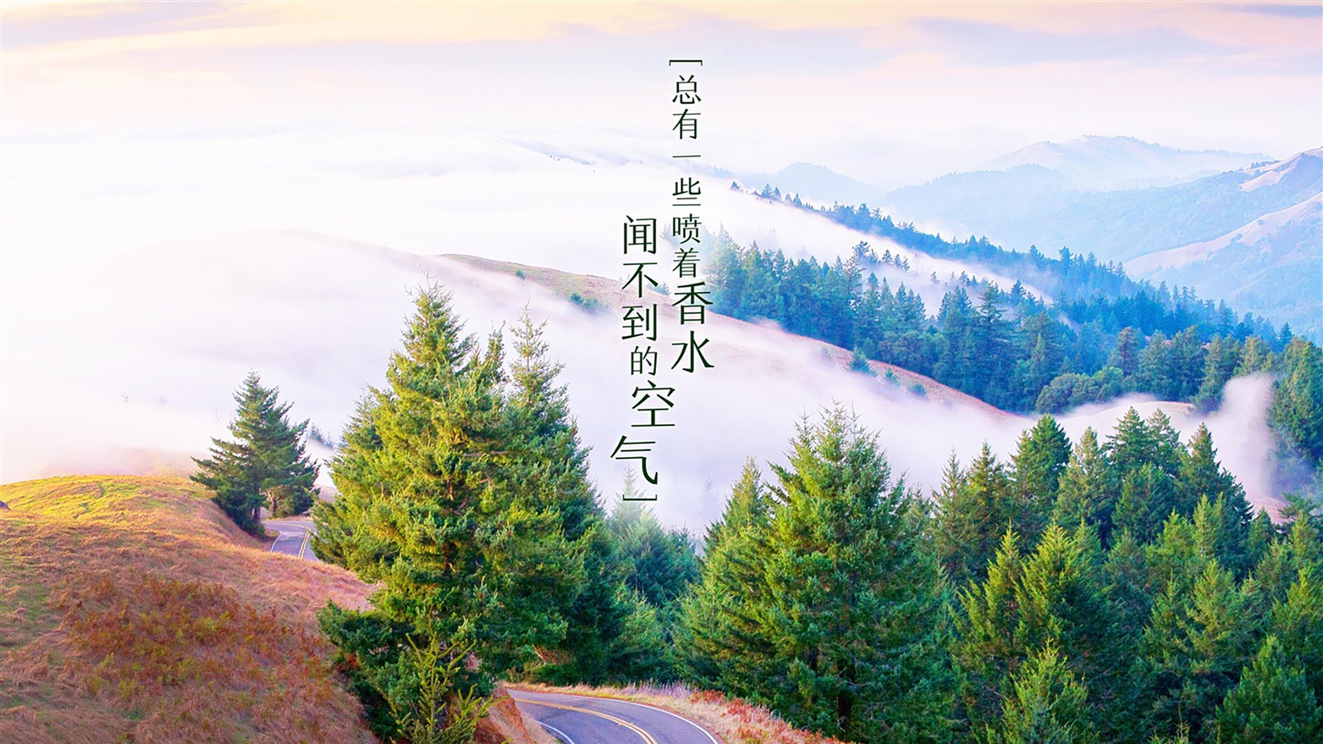 二手谈球吧汽车配件交易平台app排行（二手谈球吧汽车配件交易平台app排行榜）