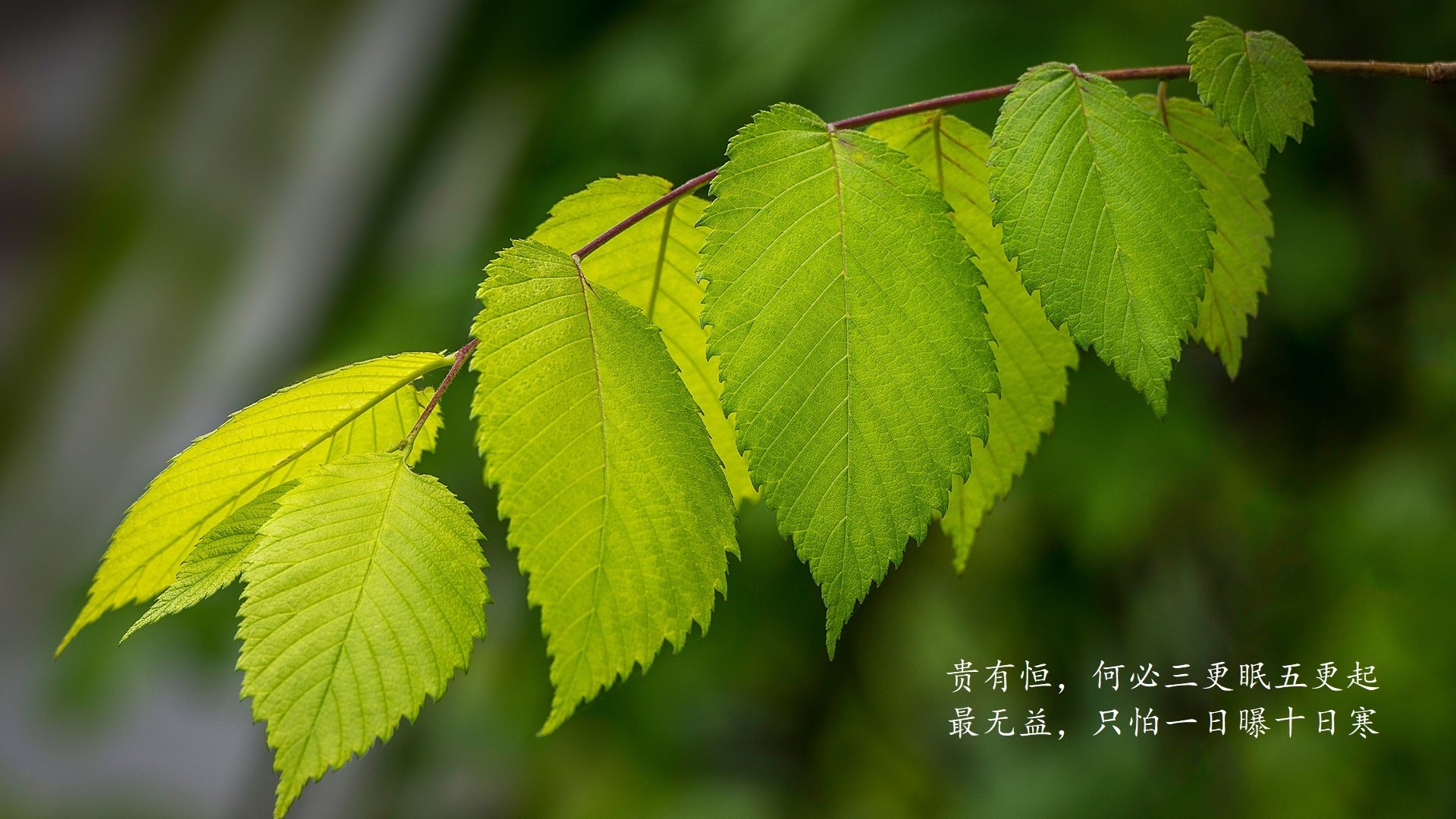 一个新手如何看懂汽车配件图纸呢（汽车配件图示）